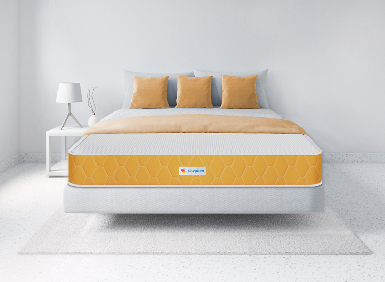 Sleepwell Dual Mattress Mattresses